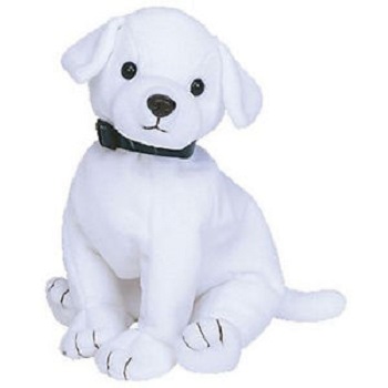 Color Me Beanie the dog **Beanie Baby only**